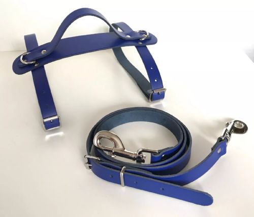 Leather Carrier Straps with Handle & Strap- for Picnic / Travel Rugs / Yoga Mats (Royal Blue)
